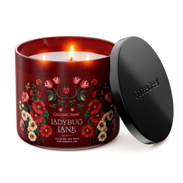 Ladybug Lane 3-Wick Candle