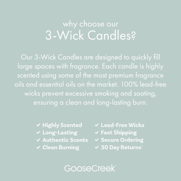 Marshmallow Sugar 3-Wick Candle