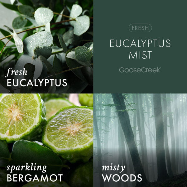 Eucalyptus Mist 3-Wick Candle