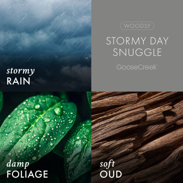 Stormy Day Snuggle 3-Wick Candle