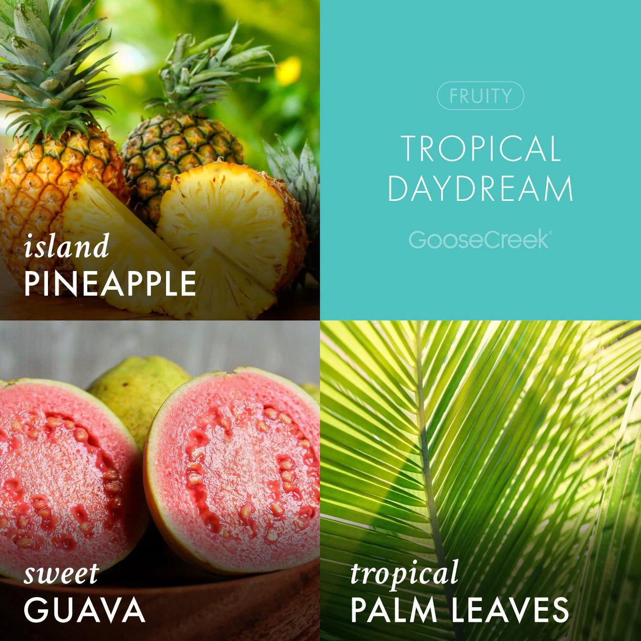 Tropical Daydream 7oz Single Wick Candle