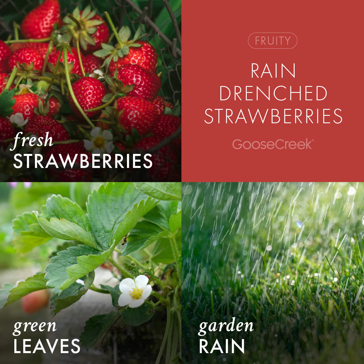 Rain Drenched Strawberries 3-Wick Candle